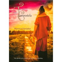De Tovenaar van Compostela (eBook)